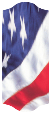 DARAY C 420 American Flag